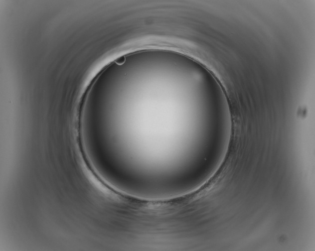 X0000096731531200802051427