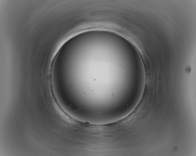 X0000096731532200802051427