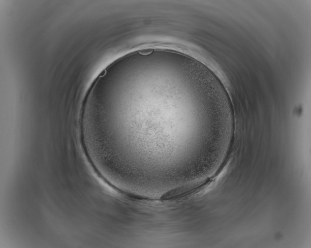 X0000096731533200802051427