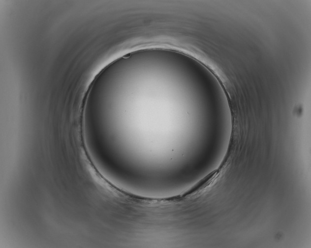 X0000096731534200802051427