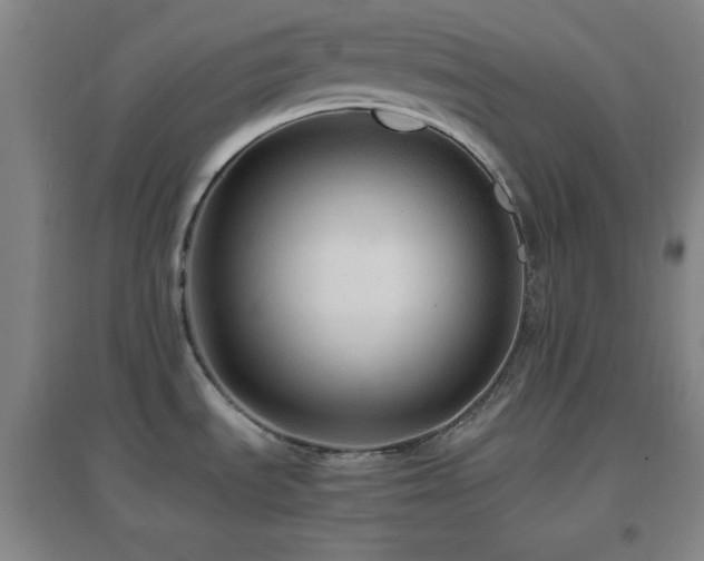 X0000096731535200802051427