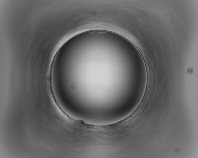 X0000096731536200802051427