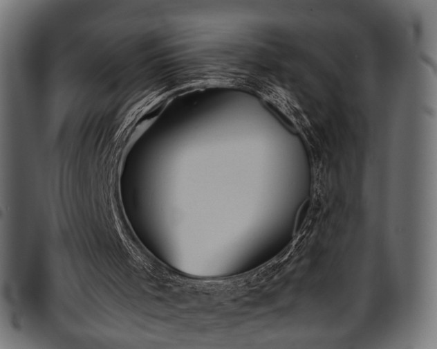 X0000096730001200802121326