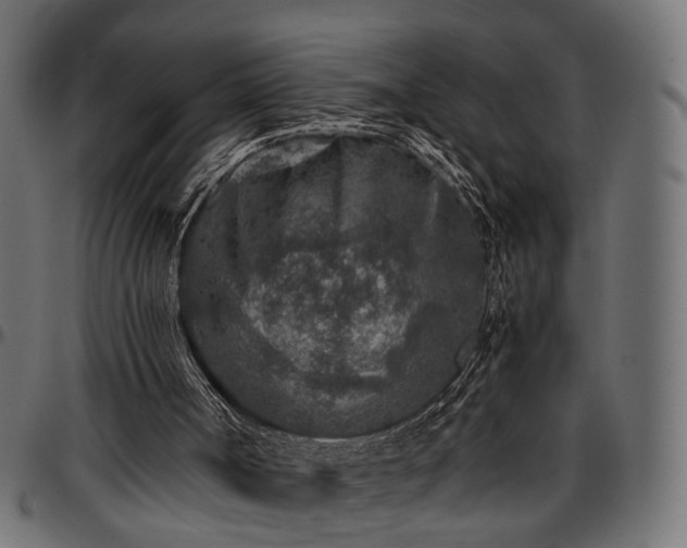 X0000096730002200802121326