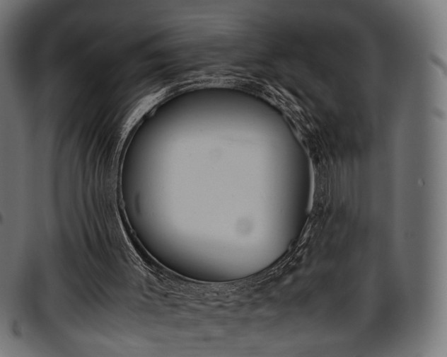 X0000096730003200802121326