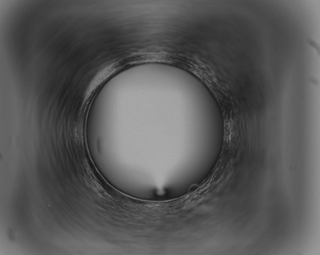 X0000096730004200802121325