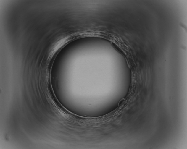 X0000096730005200802121325