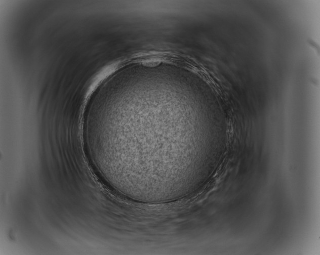X0000096730006200802121325