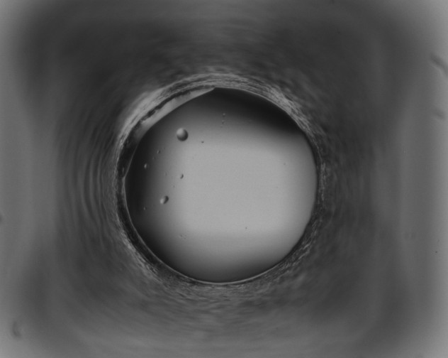 X0000096730007200802121325