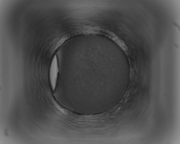 X0000096730009200802121325