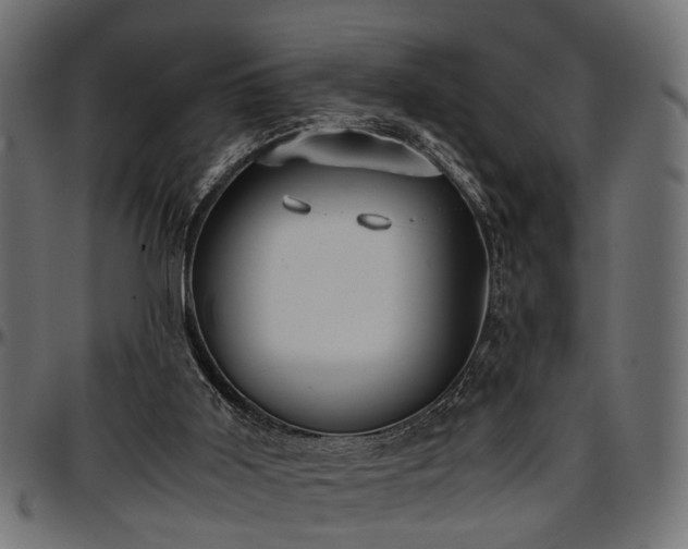 X0000096730011200802121325