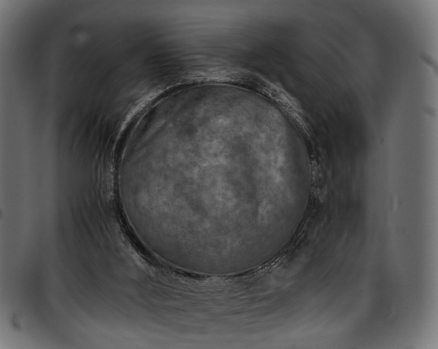 X0000096730012200802121325