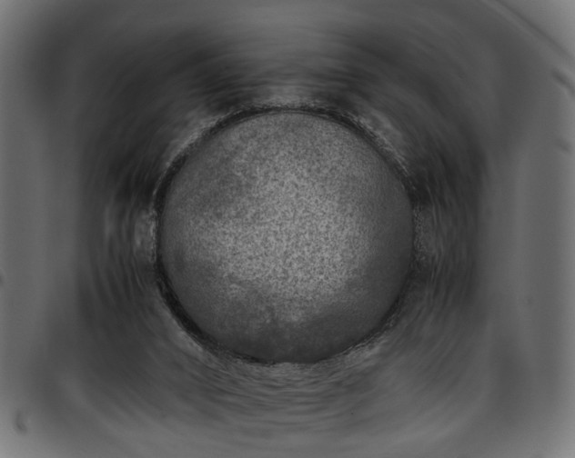 X0000096730016200802121325