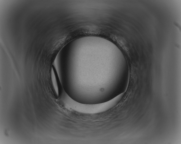 X0000096730017200802121325