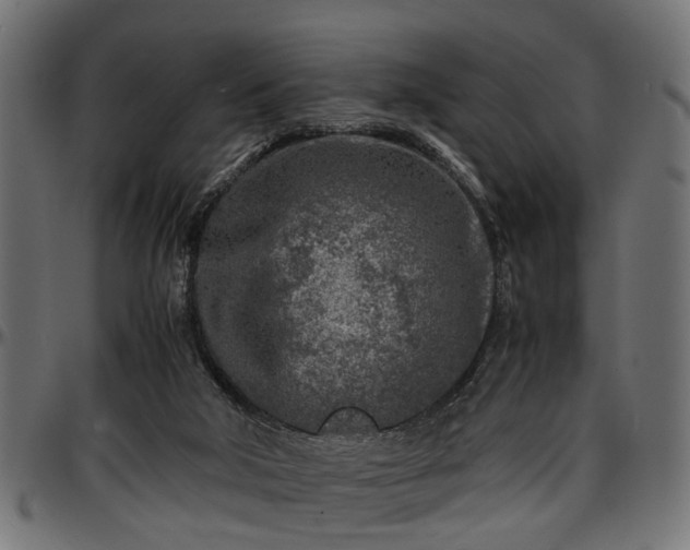 X0000096730018200802121325