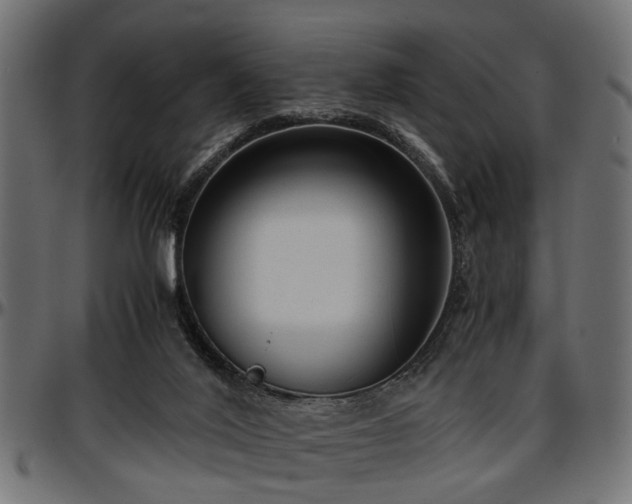 X0000096730020200802121325