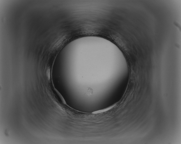 X0000096730021200802121325