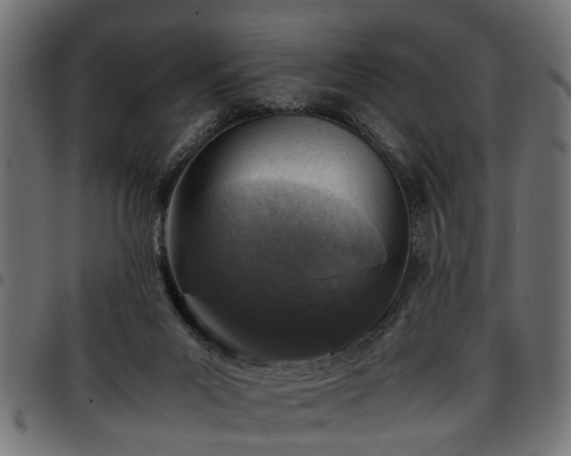 X0000096730023200802121325