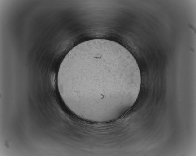 X0000096730024200802121325