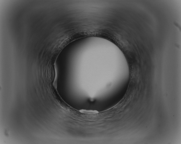 X0000096730025200802121325
