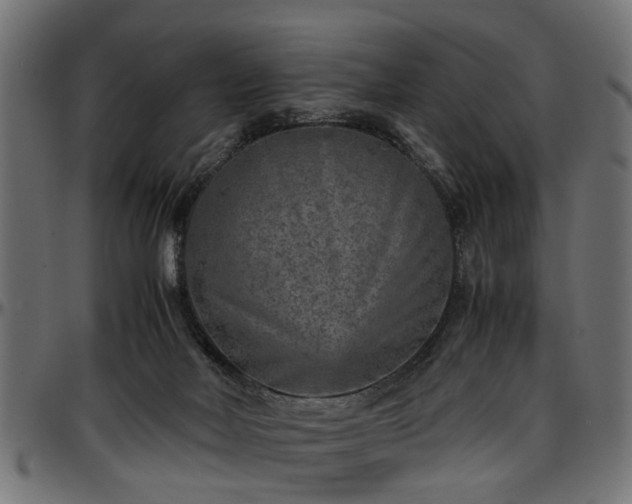 X0000096730026200802121325