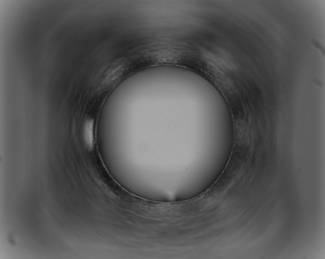 X0000096730028200802121325