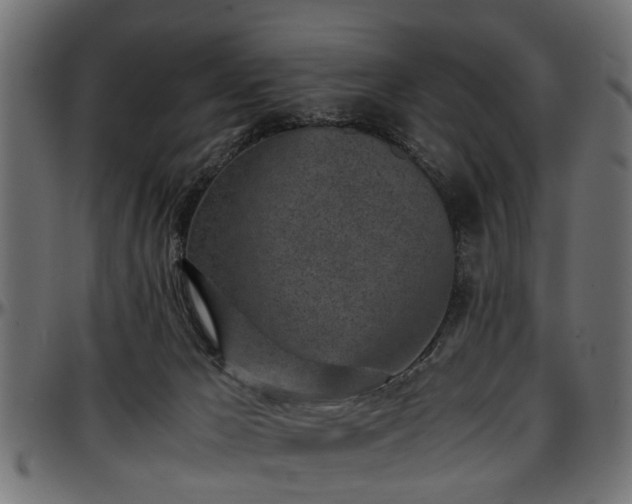 X0000096730029200802121325