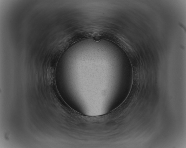 X0000096730030200802121325