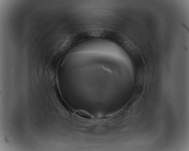 X0000096730031200802121325