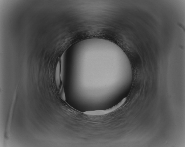 X0000096730033200802121325