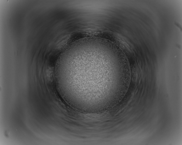 X0000096730034200802121325