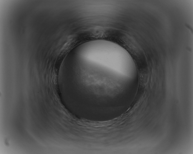 X0000096730035200802121325