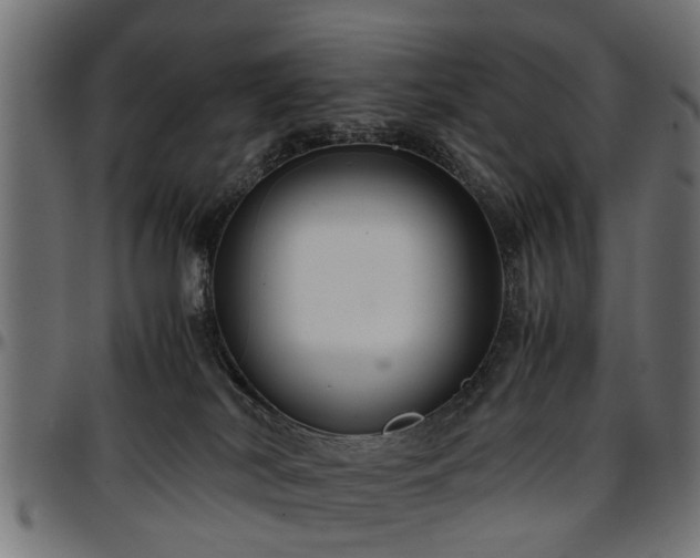 X0000096730038200802121325