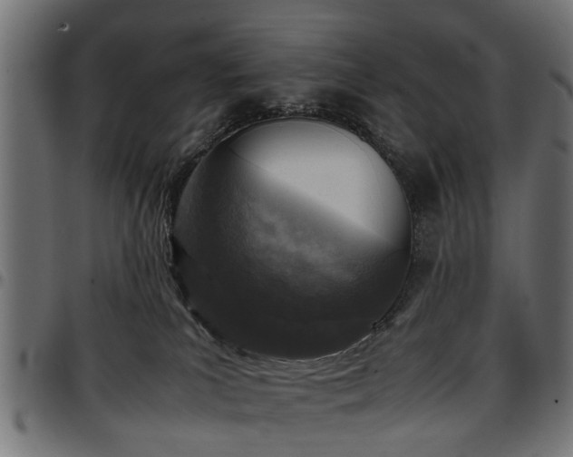 X0000096730039200802121325