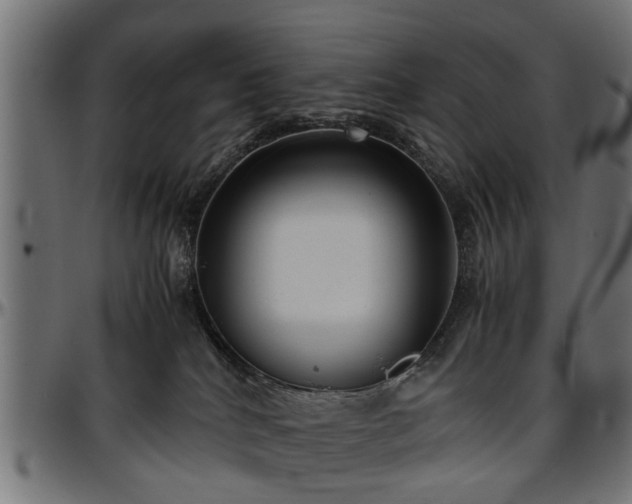 X0000096730040200802121325