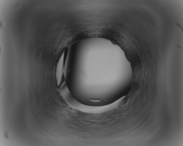 X0000096730041200802121325