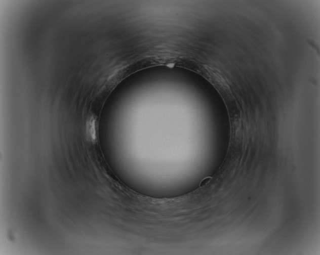 X0000096730042200802121325