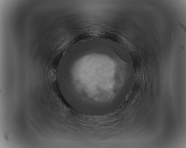 X0000096730043200802121325