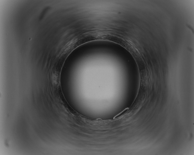 X0000096730044200802121325