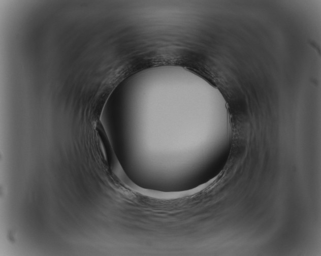 X0000096730045200802121325
