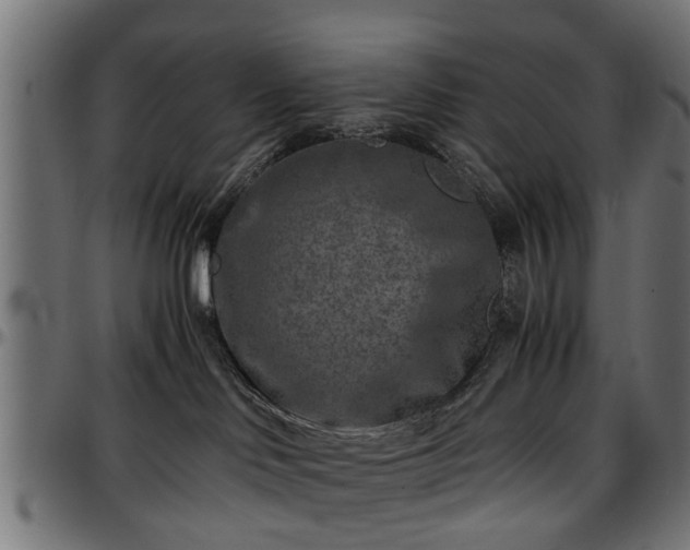 X0000096730046200802121325