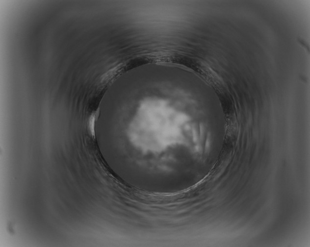 X0000096730047200802121325