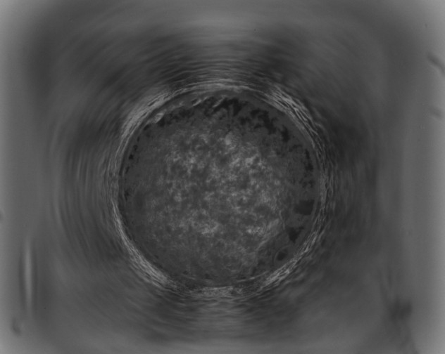 X0000096730049200802121324