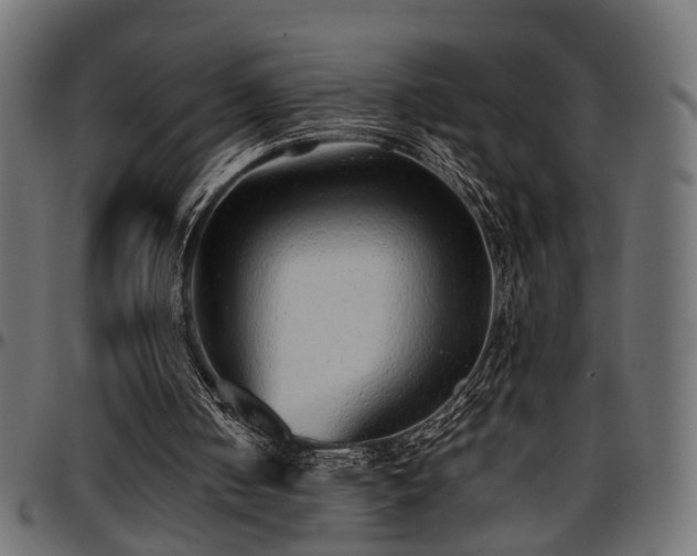 X0000096730050200802121324