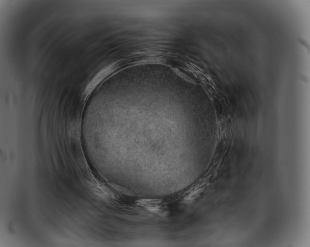 X0000096730051200802121324