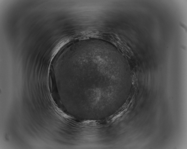 X0000096730052200802121324