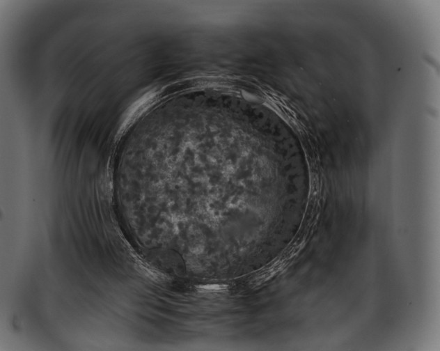X0000096730053200802121324