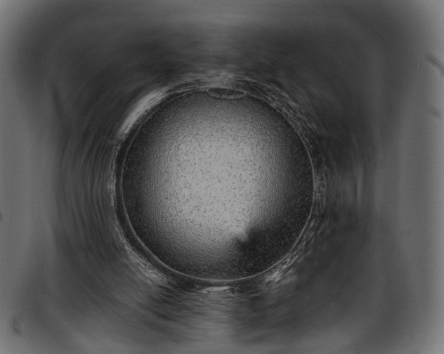 X0000096730054200802121324