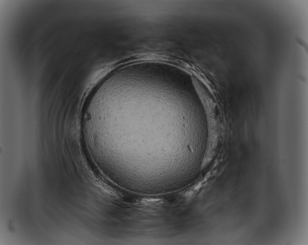 X0000096730055200802121324