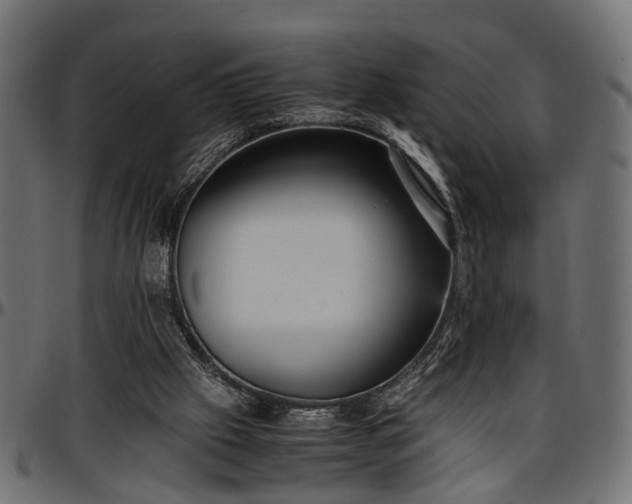 X0000096730057200802121324